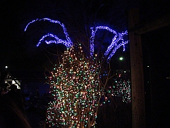 009 Toledo Zoo Light Show [2008 Dec 27]